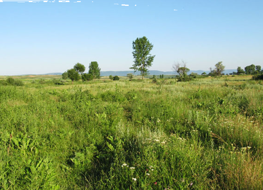 Местност "Марашка кория"