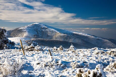 Връх Кадийца