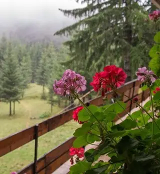 Хижа "Горски рай" — Репляна