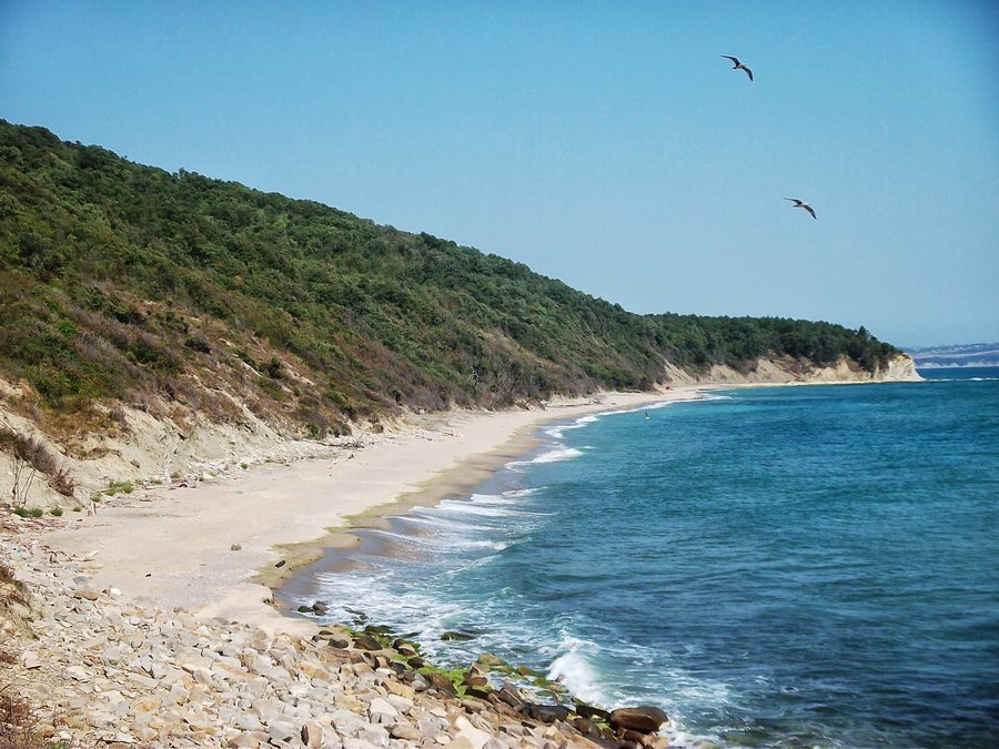 Защитена местност "Смриките" - Обзор