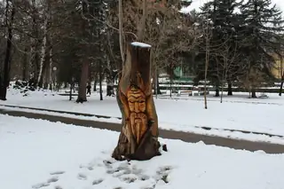 Дървената скулптура - Перник — Перник