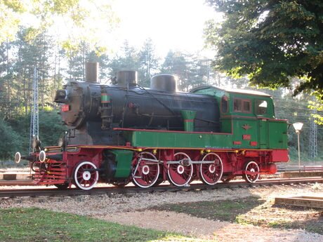 "Царският локомотив" - Царева ливада