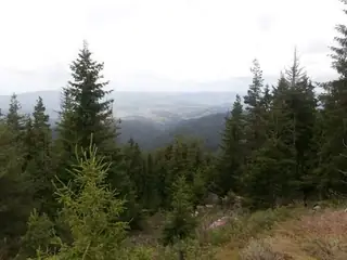 Връх Виденица - Родопи — Буйново