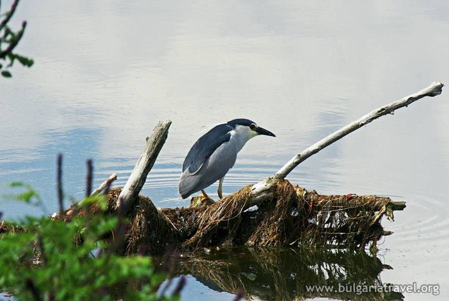Археологически резерват "Дуранкулак"