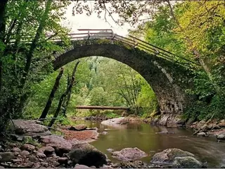 Резерват Кастракли - Борино — Борино