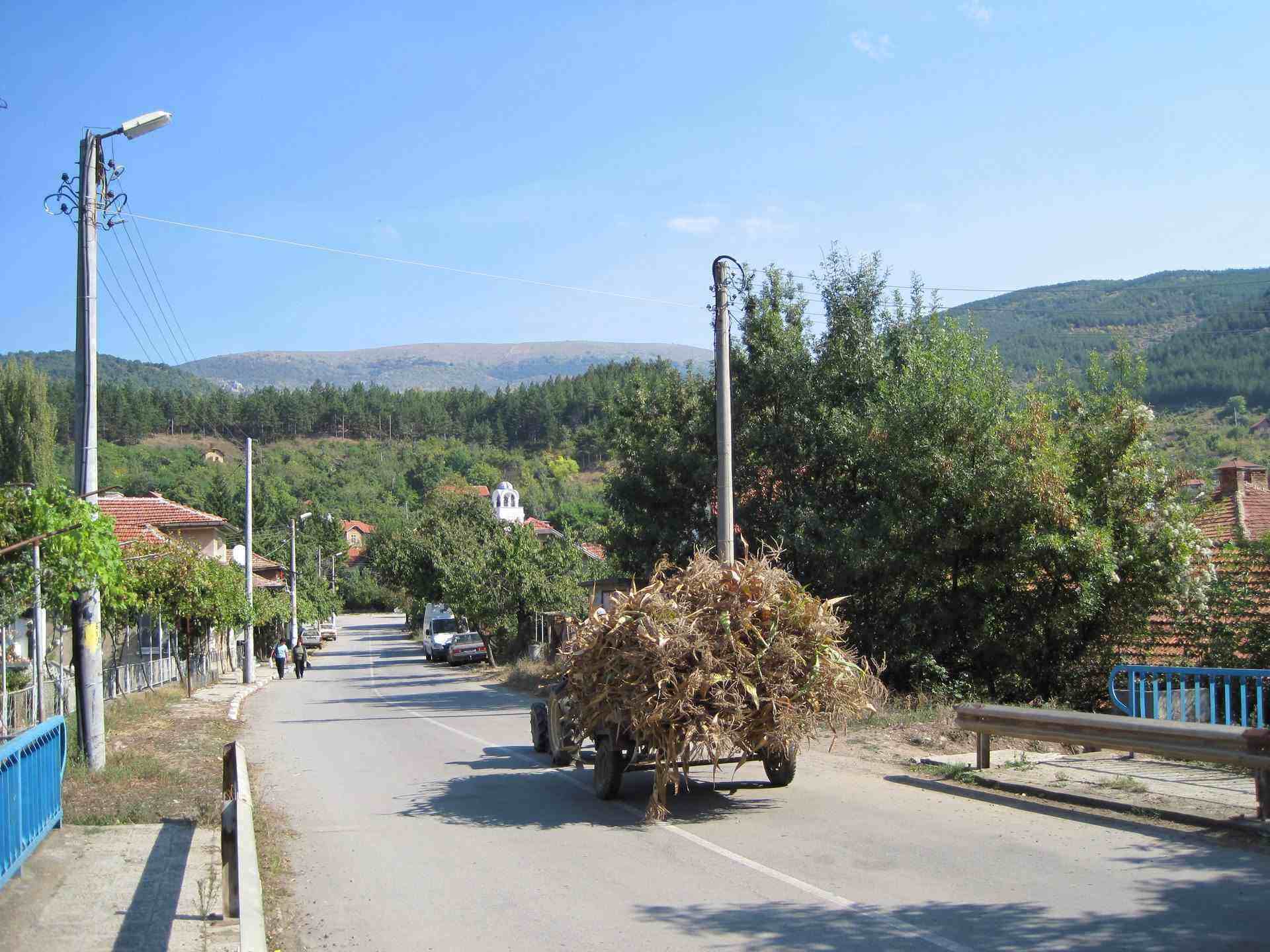 Раждавица