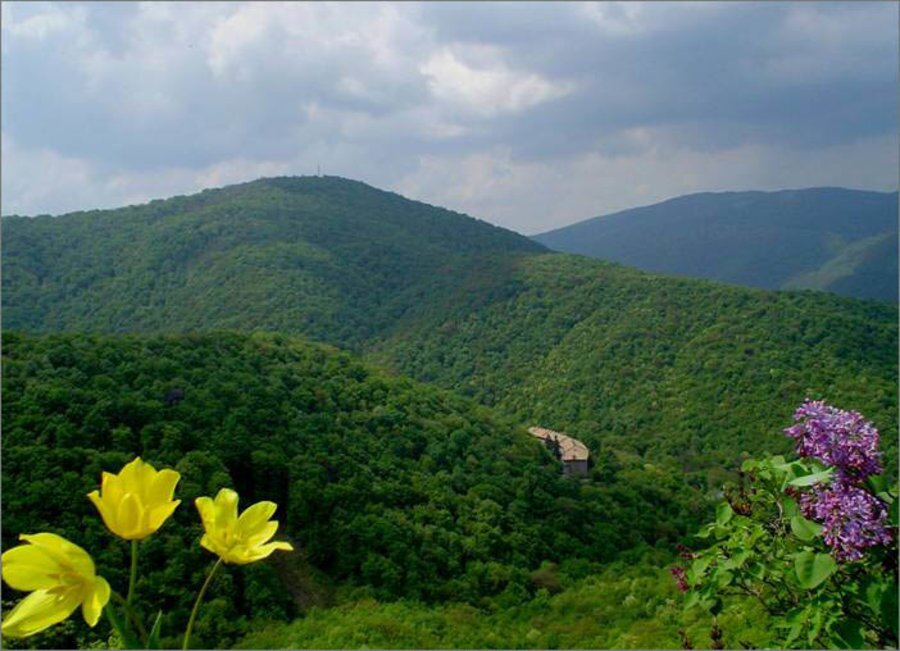 Природен резерват "Патлейна"