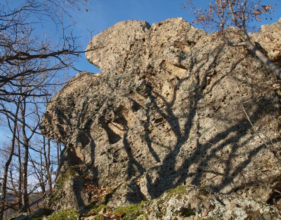 Дуру кая -  Мурга