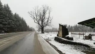 Паметник на Септемврийци - Берковица — Бързия