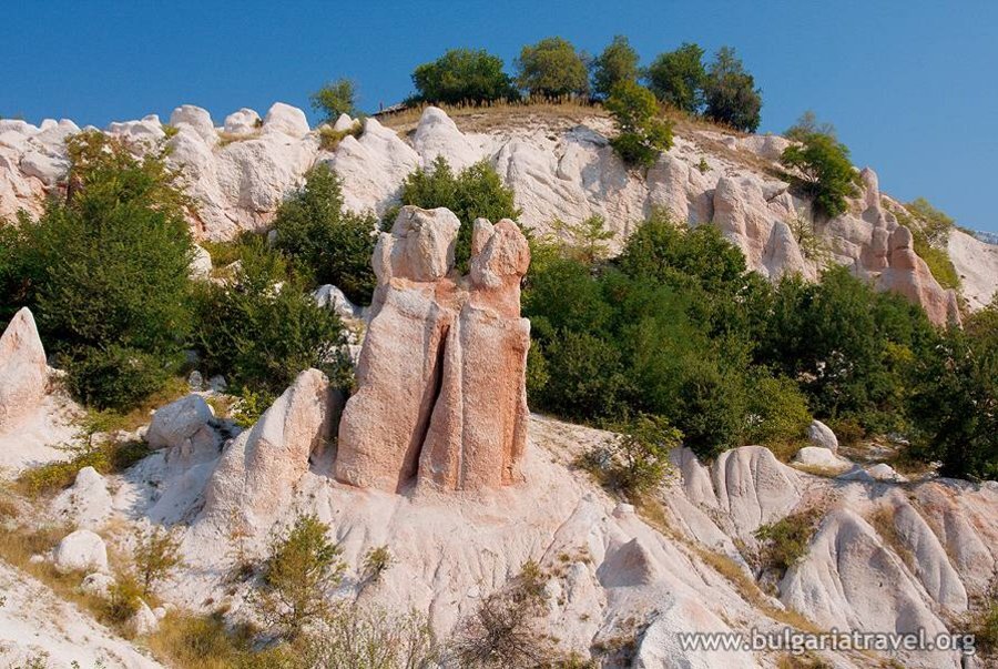 Каменна сватба (Вкаменената сватба) – Зимзелен