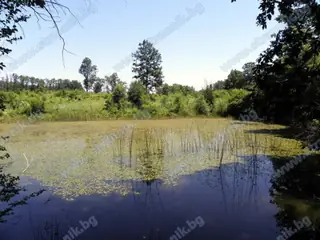 Езеро Драганчева бара - Деветаки — Деветаки