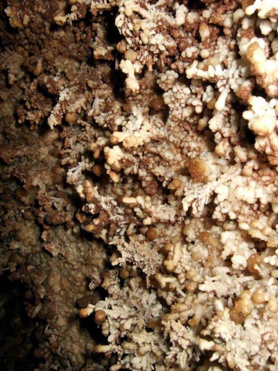 Пещера "Партизанска дупка"