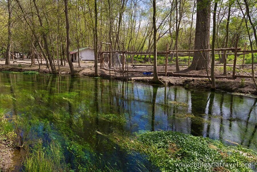Девненските извори