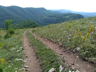 Връх "Али Баба" — Ябланово