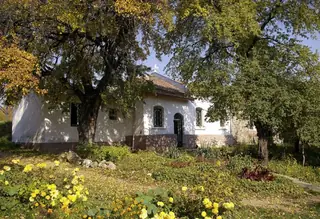 Църква "Св. Мина" - София — София
