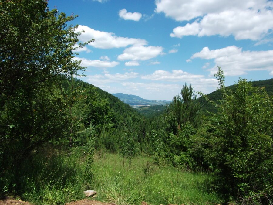 Планински рид "Драгоица"