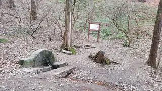 Извор с чешма Сребърната вода — София