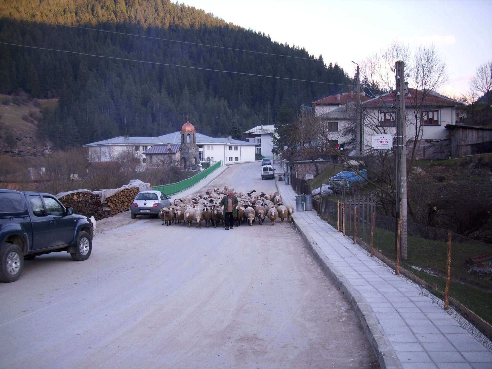Триград