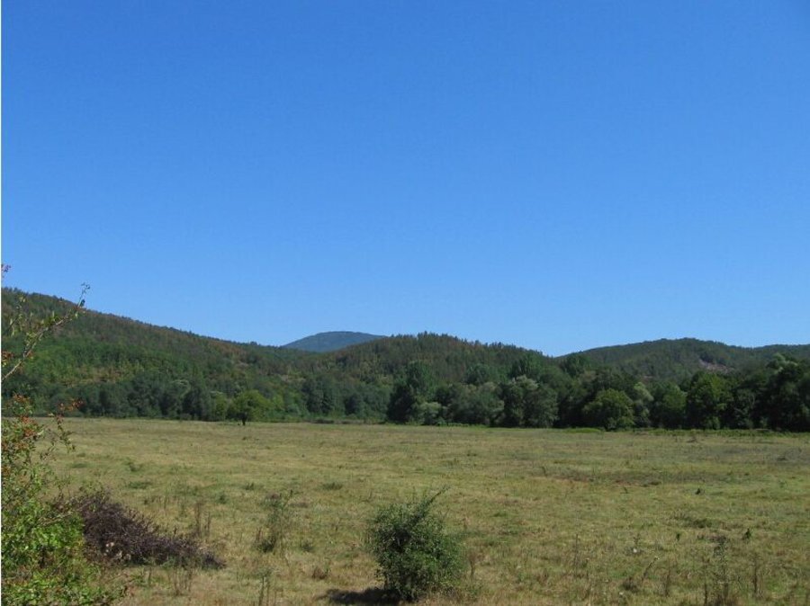 Защитена местност "Кълката" - Кости