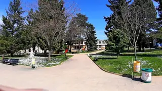 Централен площад - Борово — Борово