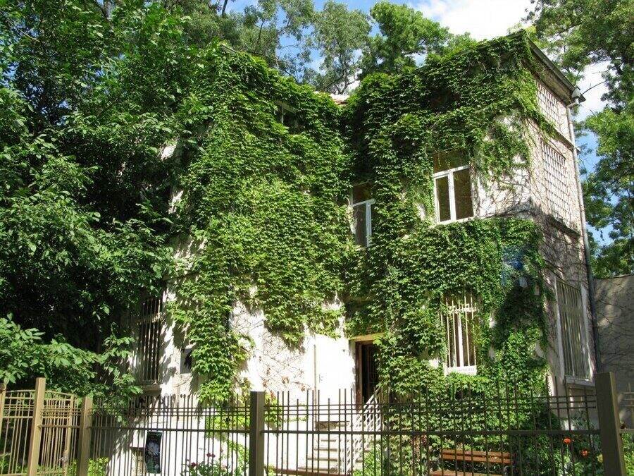 Природонаучен музей - Варна