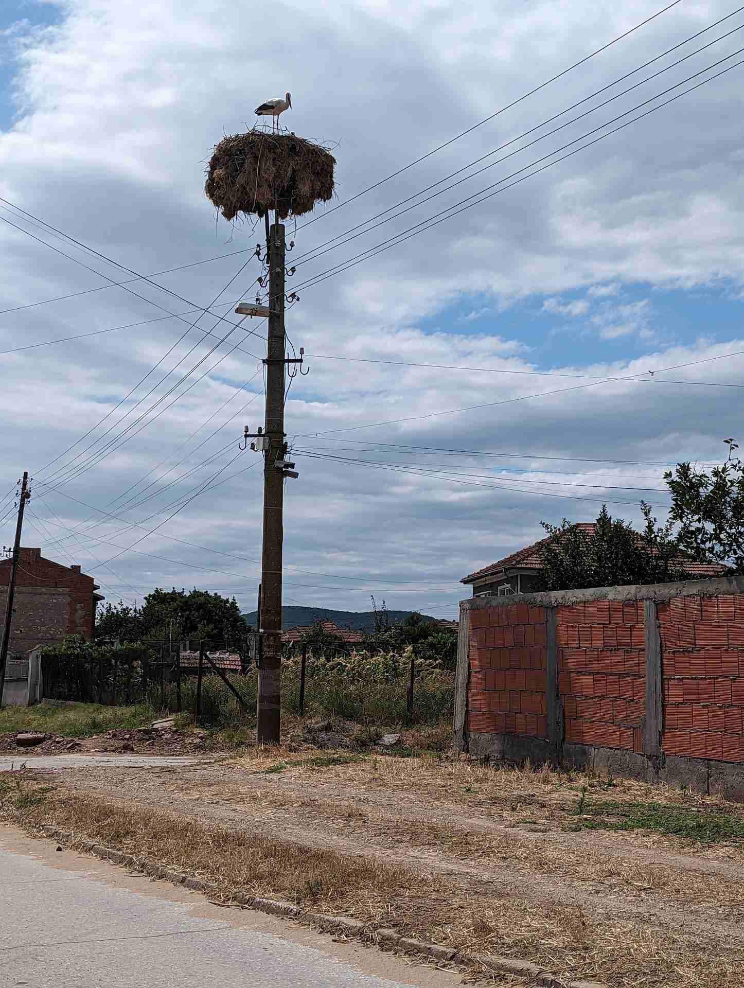 Лозен