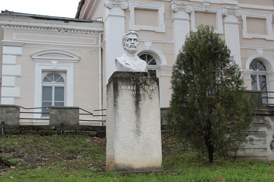 Паметник на Никола Петров - Видин