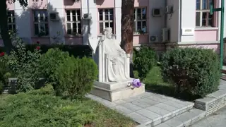 Паметник на Цар Симеон Велики - Видин — Видин