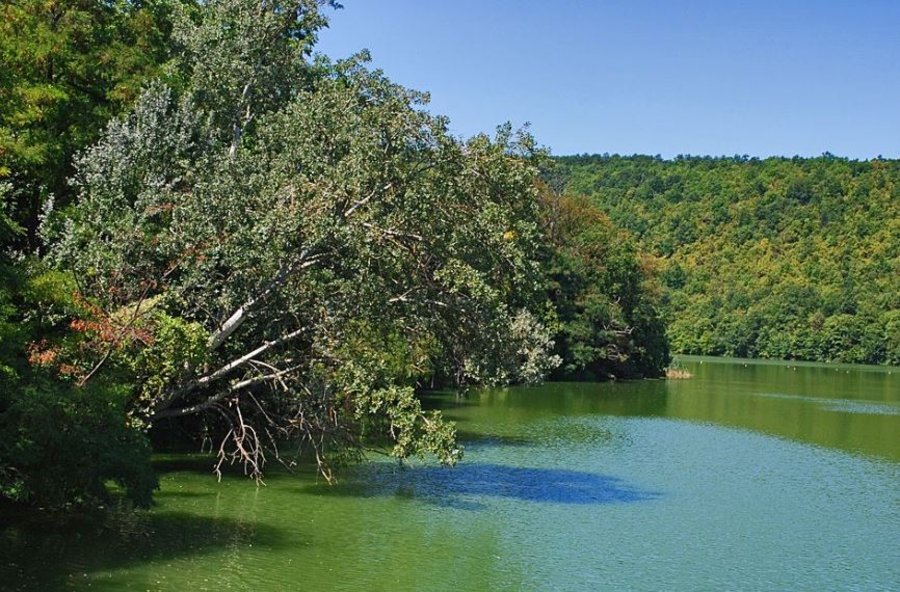 Язовир "Божурица" - Видин