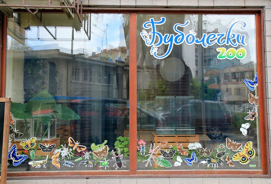 Буболечки Zoo