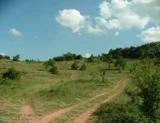 Скалите над село Дъбравка — Праужда