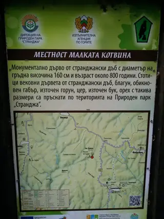 Местност "Малката Котвина" - Природен парк "Странджа" — Граматиково