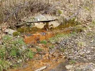 Чешма Жълтата вода - Свежен — Свежен