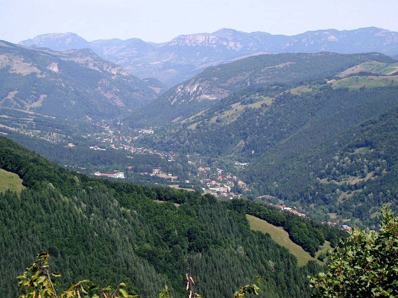 Рибарица
