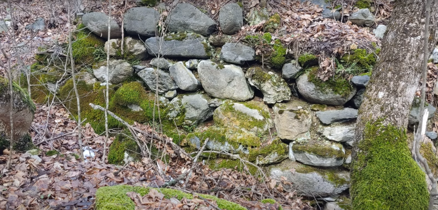 Антична и средновековна крепост "Чоева могила"