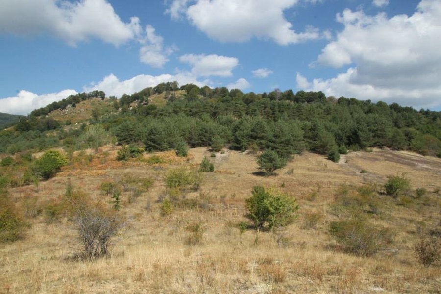 ЕкоФест Парк "Кулата" - Копривщица