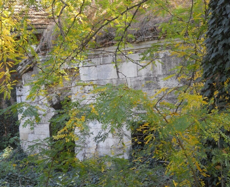 Салахадин Баба теке - Видин