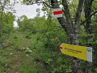 Връх Стакьов камик — Филиповци