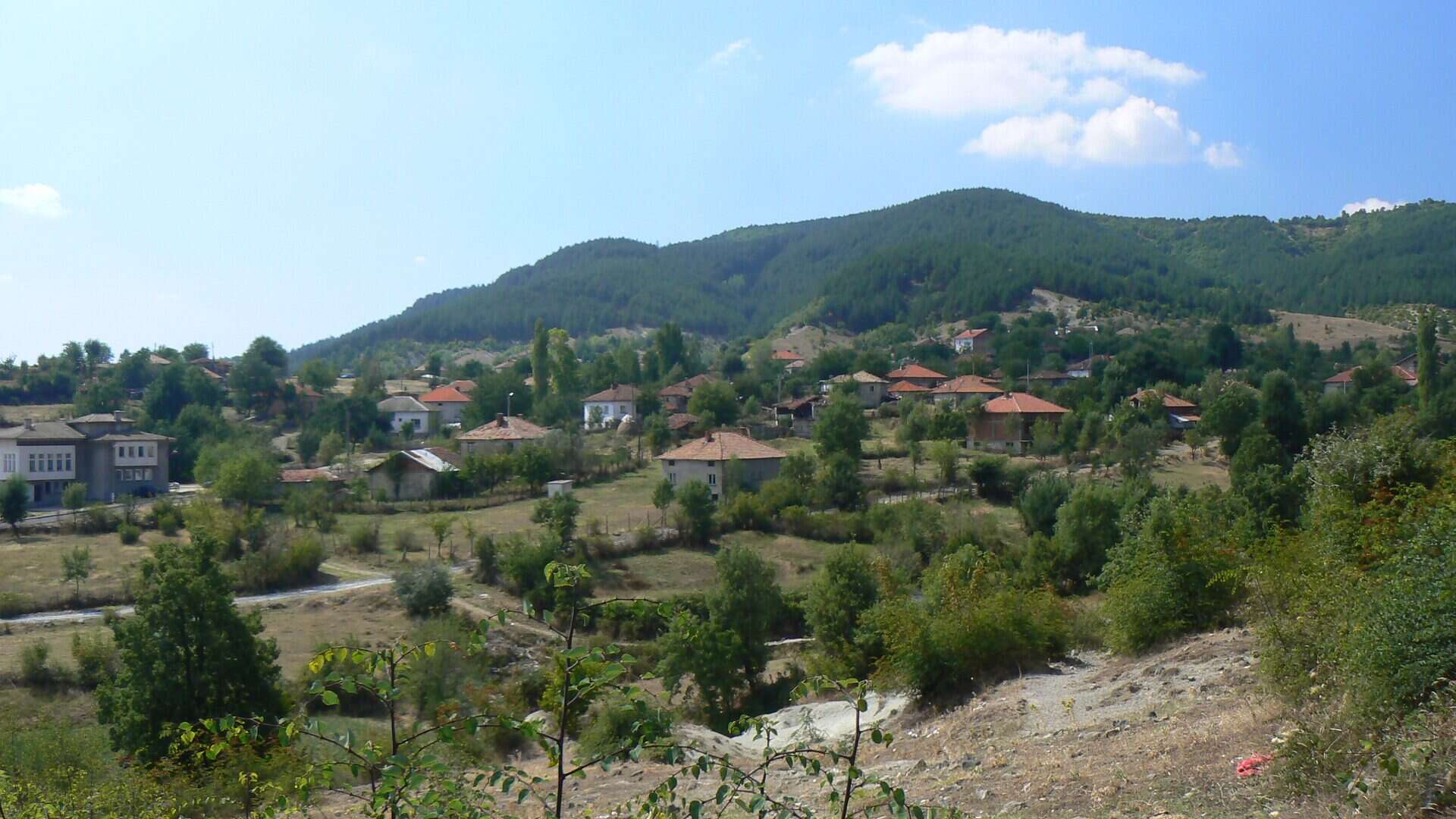 Карамфил