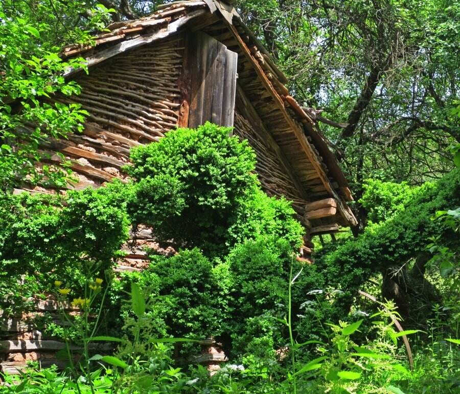 Вазовата къща  - Бов