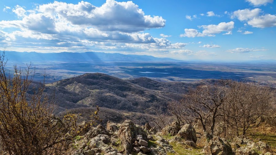 Връх Драгойна