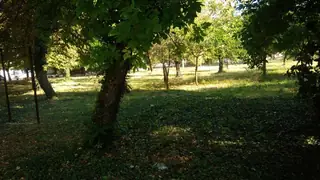 Парк - с.Желю войвода — Желю войвода