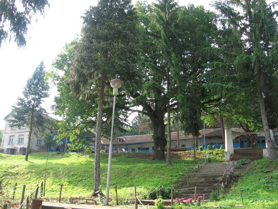 Добридолски манастир "Св. Троица" - Добри дол