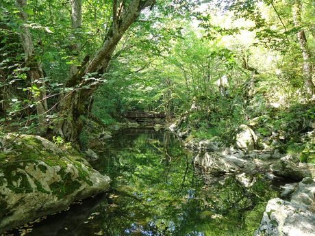 Младежка река