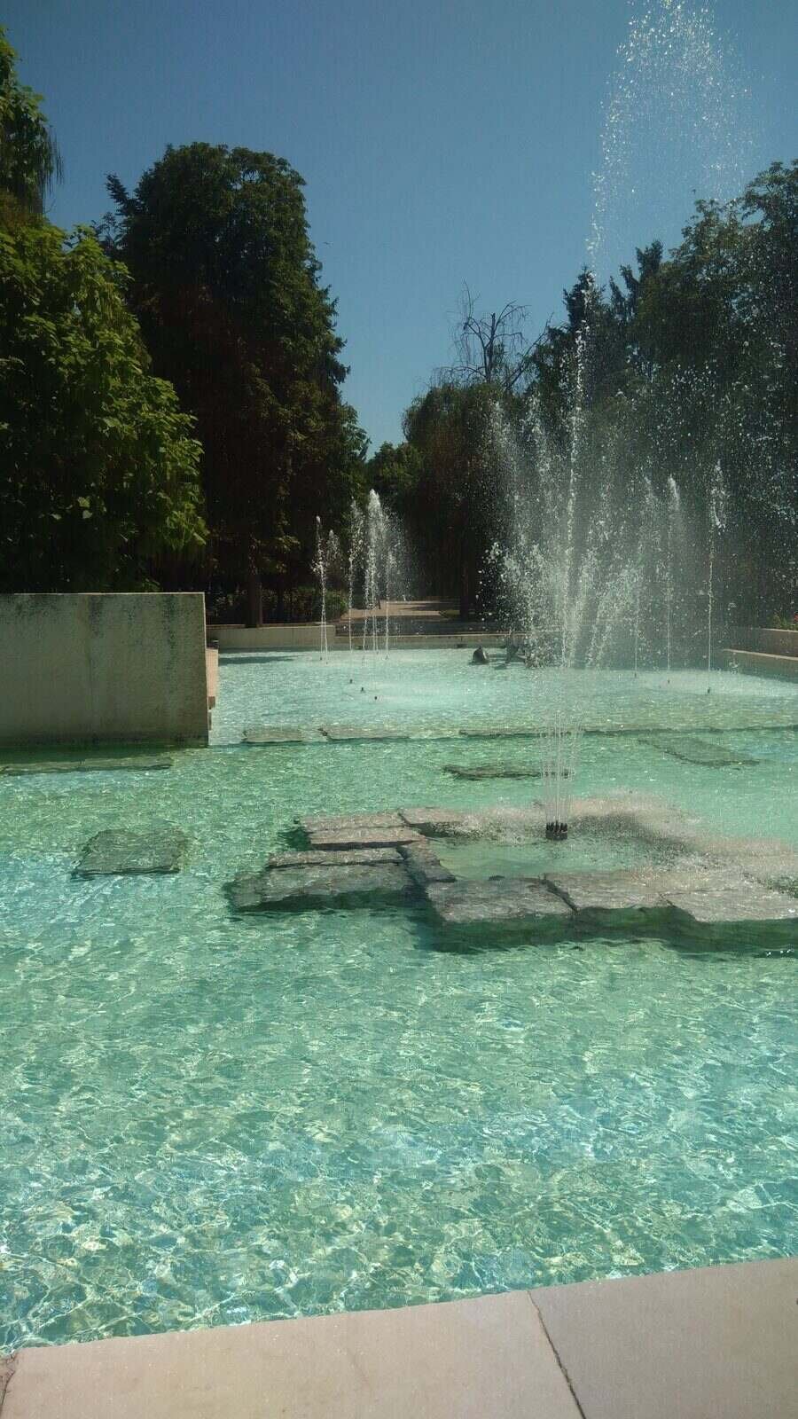 Фонтана с делфините - Търговище