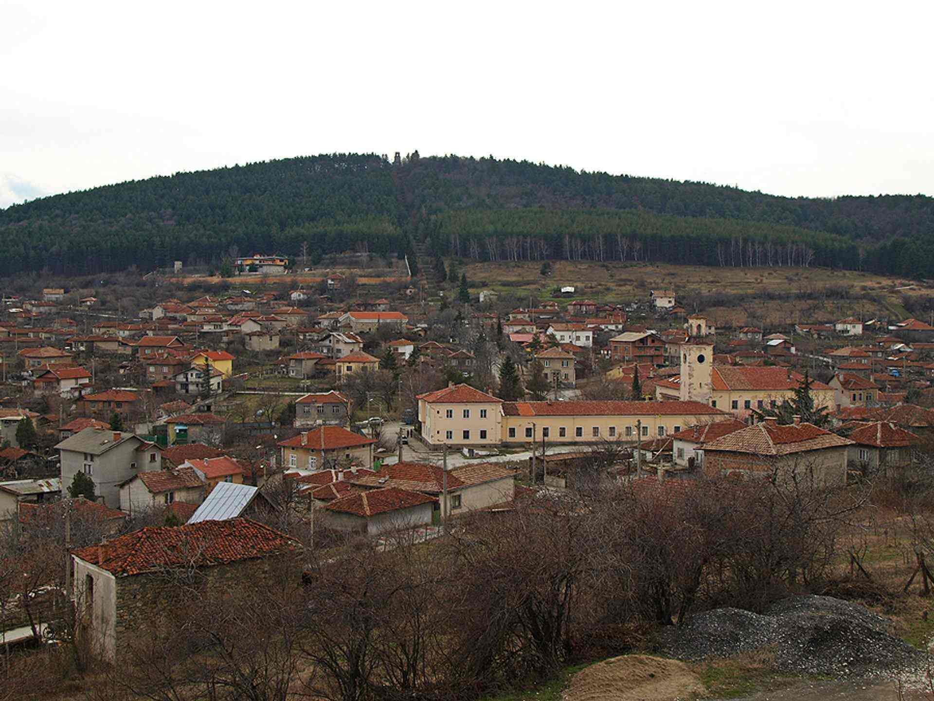 Славовица