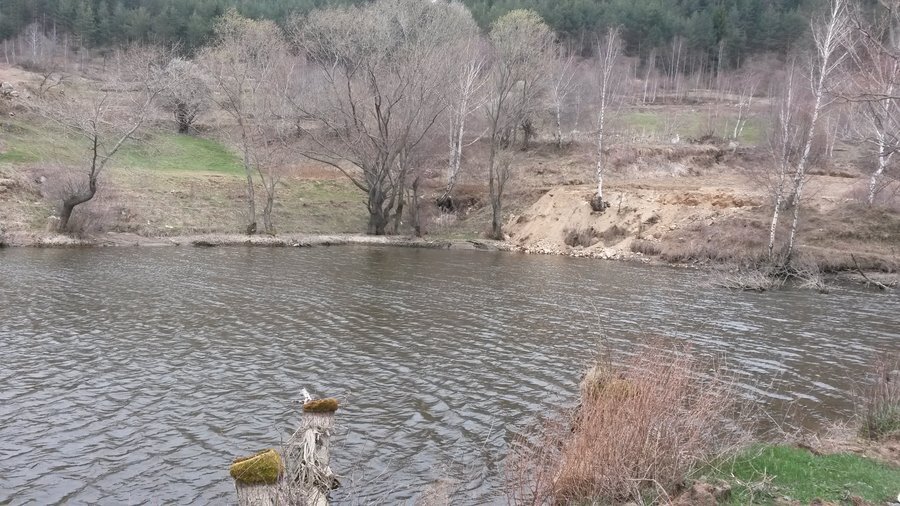 Място за спортен риболов "Водоема" –  Бръщен