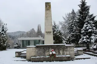 Паметник-костница на загиналите антифашисти - Димово — Димово