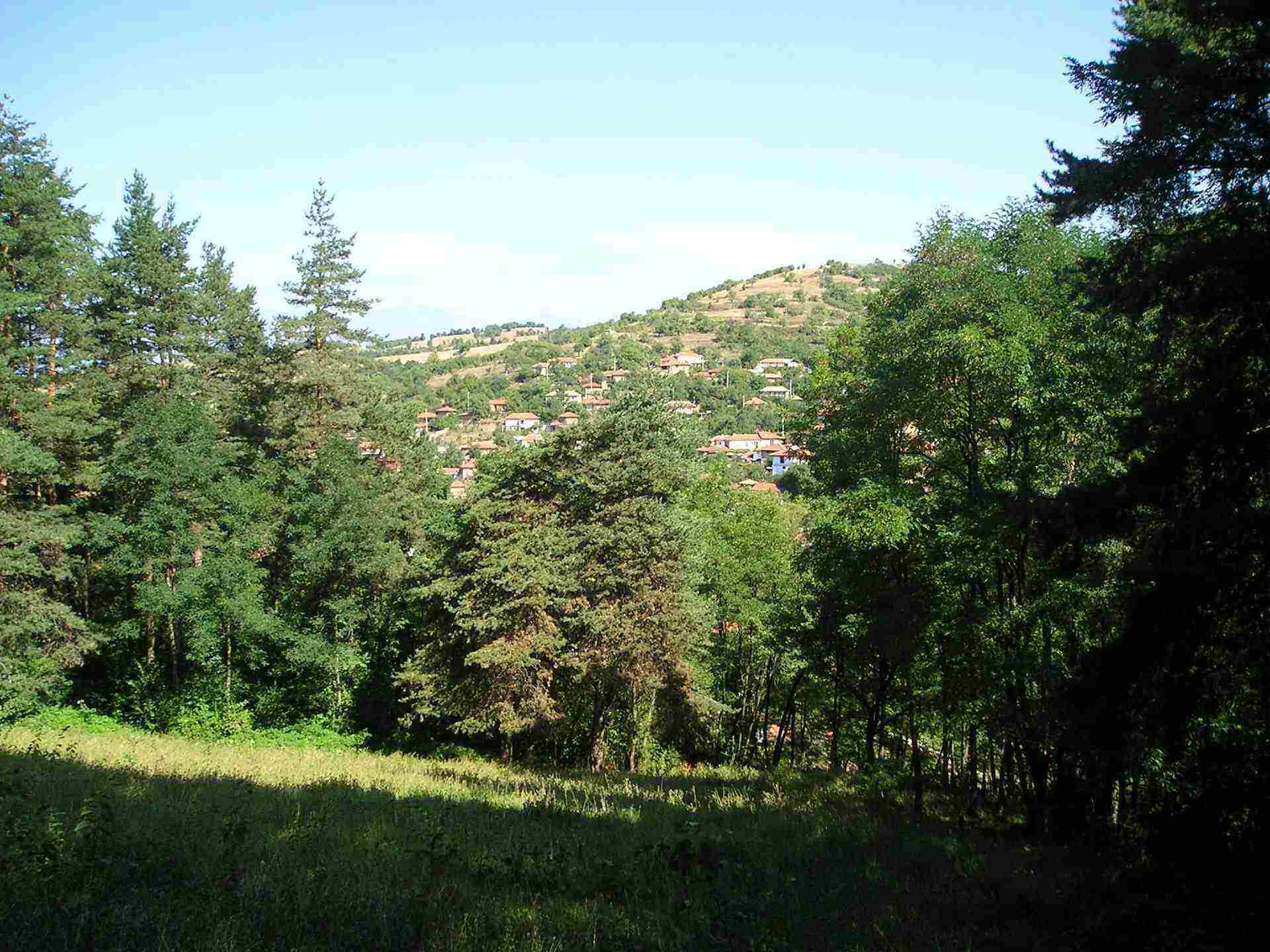 Мраченик