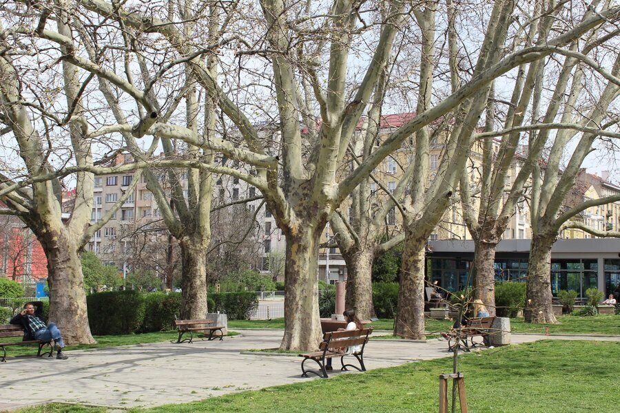 Градска градина на площад "Възраждане" - София